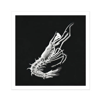 Shrimp - Ernst Haeckel Marine Life Art Print / Canvas White Skeleton Shell Crustacean Dark Background Ernst Haeckel, Specter Materializes,