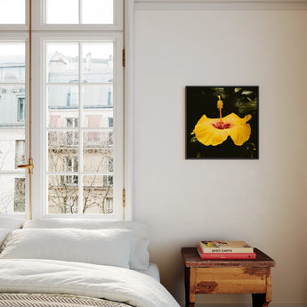 For Sita - Yellow Hibiscus Framed Canvas, Bright Yellow Hibiscus Flower Framed Black Wall