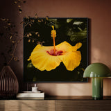 For Sita - Yellow Hibiscus Framed Canvas, Vibrant Yellow Hibiscus Flower Prominent Red Center Extended