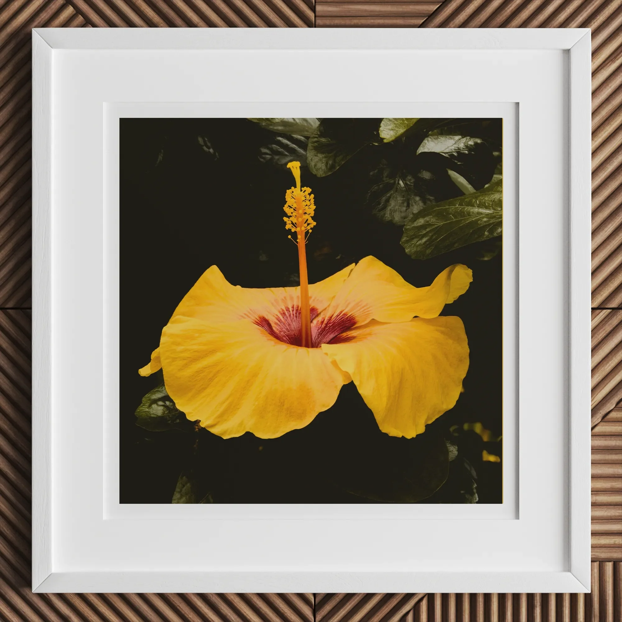 For Sita - Yellow Hibiscus Hoi an Art Print, 12x12’’ / 31x31cm / White Frame, Vibrant Yellow Hibiscus Flower Prominent Stamen Framed White