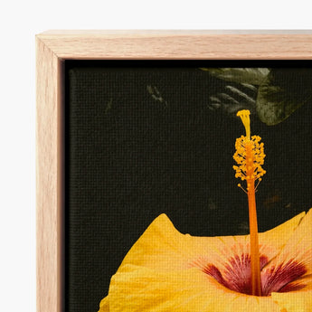 Vibrant Yellow Hibiscus Flower Deep Red Center Bright, Tropical Jewel Captured, Hoi