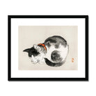 Sleeping Cat - Kōno Bairei Meiji-era Animal Art Print Posters Prints & Visual Artwork