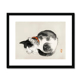 Sleeping Cat - Kōno Bairei Meiji-era Animal Art Print, Black White Cat Painted Traditional Asian Ink Wash