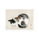 Sleeping Cat Kōno Bairei Meiji Era Animal Art Print, Black White Cat Painted Traditional Asian Ink Wash