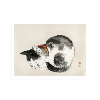 Sleeping Cat - Kōno Bairei Meiji-era Animal Art Print, Black White Cat Painted Traditional Asian Ink Wash