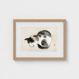Sleeping Cat - Kono Bairei Meiji-era Animal Art Print / Canvas Kōno Bairei’s Mesmerizing, Woodblock, Edo-era Japan Feline Prints