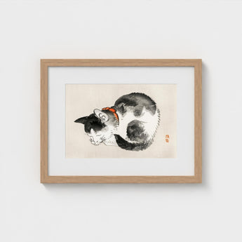 Sleeping Cat - Kono Bairei Meiji-era Animal Art Print / Canvas Kōno Bairei’s Mesmerizing, Woodblock, Edo-era Japan Feline Prints