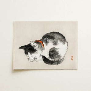 Sleeping Cat - Kōno Bairei Meiji-era Animal Art Print / Canvas, 12x16’’ / 31x41cm / Unframed / no Border, Posters Prints & Visual Artwork,