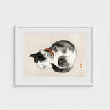 Sleeping Cat - Kono Bairei Meiji-era Animal Art Print / Canvas Kōno Bairei’s Mesmerizing, Woodblock, Edo-era Japan Feline Prints