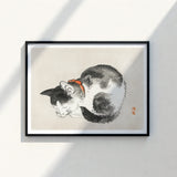 Black White Ink Painting Cat Orange Collar Framed Kōno Bairei’s Mesmerizing Sleeping, Woodblock Print, Edo-era Japan Feline Art