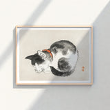 Framed Ink Wash Painting Black White Cat Orange Kōno Bairei’s Mesmerizing Sleeping, Woodblock Print, Edo-era Japan Feline Art
