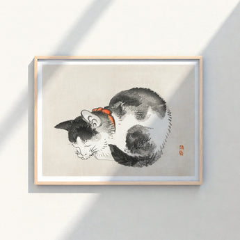Framed Ink Wash Painting Black White Cat Orange Kōno Bairei’s Mesmerizing Sleeping, Woodblock Print, Edo-era Japan Feline Art
