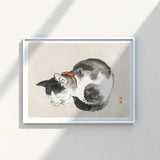 Framed Ink Wash Painting Black White Cat Orange Kōno Bairei’s Mesmerizing Sleeping, Woodblock Print, Edo-era Japan Feline Art