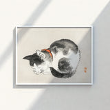Framed Ink Wash Painting Black White Cat Orange Kōno Bairei’s Mesmerizing Sleeping, Woodblock Print, Edo-era Japan Feline Art