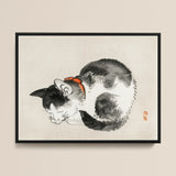 Sleeping Cat - Kono Bairei Meiji-era Animal Art Print / Canvas Black White Ink Painting Cat Orange Collar Framed Kōno Bairei’s Mesmerizing