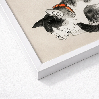 Framed Black White Ink Painting Cat Orange Bow Kōno Bairei’s Mesmerizing Sleeping, Woodblock Print, Edo-era Japan Feline Art