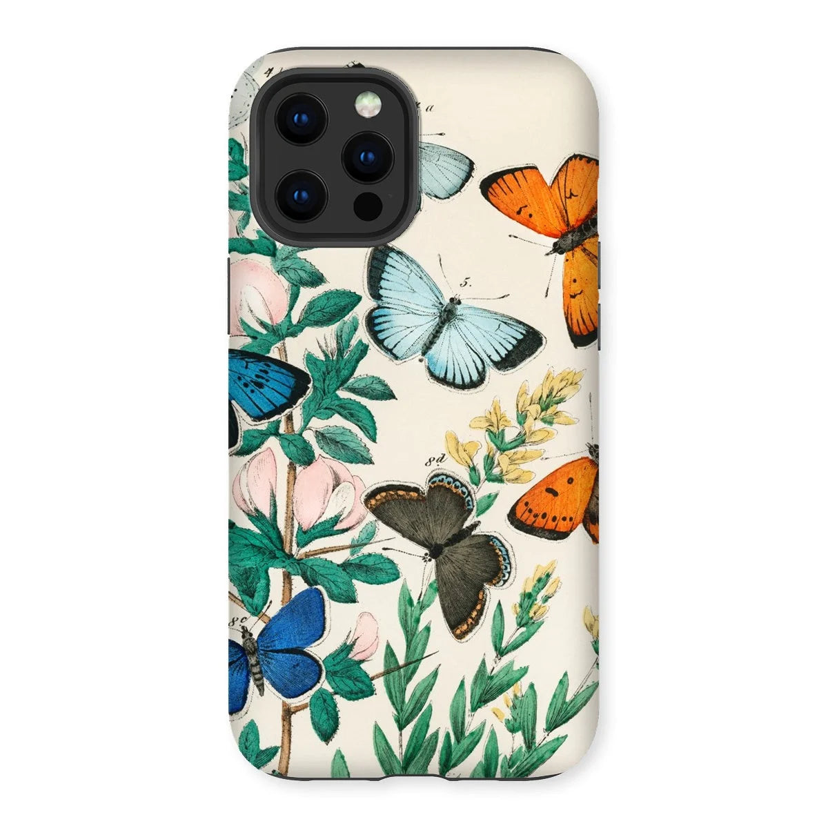 European Butterflies & Moths - William Forsell Kirby Iphone Case 12 Pro Max / Matte Mobile Phone Cases