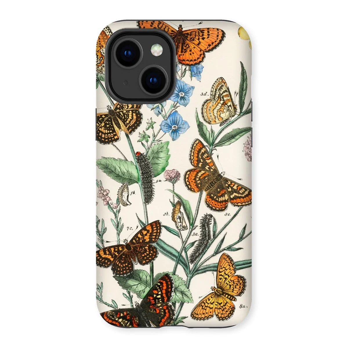 European Butterflies & Moths 2 - William Forsell Kirby Iphone Case 14 Plus / Matte Mobile Phone Cases