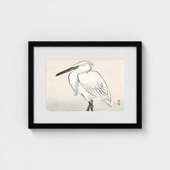 Snowy Egret - Kono Bairei Kacho-e Art Print / Canvas Bairei’s, Meiji Era Kachō-e, Kōno Prints