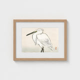 Snowy Egret - Kono Bairei Kacho-e Art Print / Canvas Bairei’s, Meiji Era Kachō-e, Kōno Prints