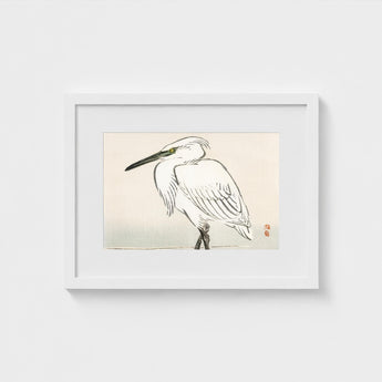 Snowy Egret - Kono Bairei Kacho-e Art Print / Canvas Bairei’s, Meiji Era Kachō-e, Kōno Prints