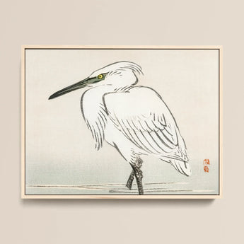 Snowy Egret - Kōno Bairei Kacho-e Art Print / Canvas, 16x12’’ / 41x31cm / Natural Frame, Posters Prints & Visual Artwork, Toby Leon