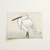 Snowy Egret - Kōno Bairei Kacho-e Art Print / Canvas, 16x12’’ / 41x31cm / Unframed / no Border, Posters Prints & Visual Artwork, Toby Leon