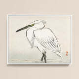 Snowy Egret - Kōno Bairei Kacho-e Art Print / Canvas, 16x12’’ / 41x31cm / White Frame, Posters Prints & Visual Artwork, Toby Leon