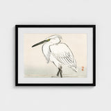 Snowy Egret - Kono Bairei Kacho-e Art Print / Canvas Bairei’s, Meiji Era Kachō-e, Kōno Prints