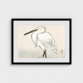 Snowy Egret - Kono Bairei Kacho-e Art Print / Canvas Bairei’s, Meiji Era Kachō-e, Kōno Prints
