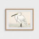 Snowy Egret - Kono Bairei Kacho-e Art Print / Canvas Bairei’s, Meiji Era Kachō-e, Kōno Prints