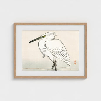 Snowy Egret - Kono Bairei Kacho-e Art Print / Canvas Bairei’s, Meiji Era Kachō-e, Kōno Prints