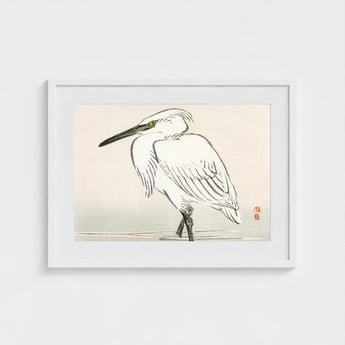 Snowy Egret - Kono Bairei Kacho-e Art Print / Canvas Bairei’s, Meiji Era Kachō-e, Kōno Prints