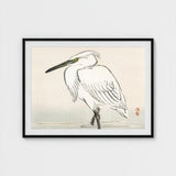 Snowy Egret - Kono Bairei Kacho-e Art Print / Canvas Bairei’s, Meiji Era Kachō-e, Kōno Prints
