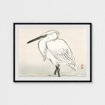 Snowy Egret - Kono Bairei Kacho-e Art Print / Canvas Bairei’s, Meiji Era Kachō-e, Kōno Prints