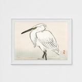 Snowy Egret - Kono Bairei Kacho-e Art Print / Canvas Bairei’s, Meiji Era Kachō-e, Kōno Prints