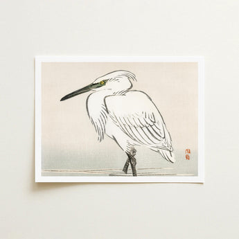 Snowy Egret - Kono Bairei Kacho-e Art Print / Canvas Bairei’s, Meiji Era Kachō-e, Kōno Prints