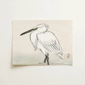 Snowy Egret - Kōno Bairei Kacho-e Art Print / Canvas, Bairei’s Snowy Egret, Meiji Era Kachō-e, Kōno Bairei’s Snowy