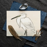Snowy Egret - Kono Bairei Kacho-e Art Print / Canvas Bairei’s, Meiji Era Kachō-e, Kōno Prints