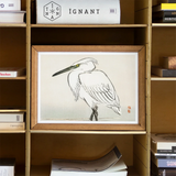 Snowy Egret - Kono Bairei Kacho-e Art Print / Canvas Framed Ink White Egret Heron Yellow Eye Bairei’s Snowy Egret, Meiji Era Kachō-e, Kōno