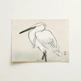 Snowy Egret - Kono Bairei Kacho-e Art Print / Canvas Minimalist Ink White Egret Yellow Eye Rendered Black Bairei’s Snowy Egret, Meiji Era