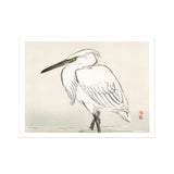 Snowy Egret - Kono Bairei Kacho-e Art Print / Canvas White Heron Ruffled Feathers Long Beak Bairei’s Snowy Egret, Meiji Era Kachō-e, Kōno