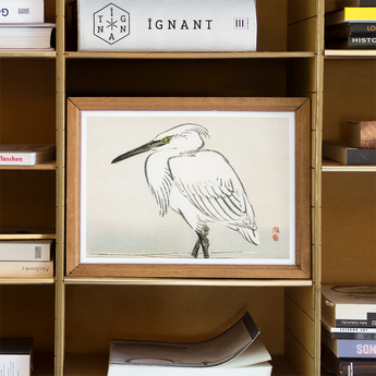Snowy Egret - Kōno Bairei Kacho-e Art Print, Framed Ink White Egret Heron Yellow Eye