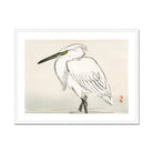 Snowy Egret - Kōno Bairei Kacho-e Art Print Posters Prints & Visual Artwork