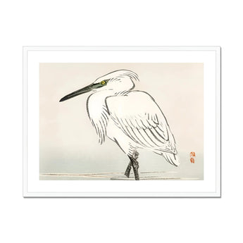 Snowy Egret - Kōno Bairei Kacho-e Art Print, White Heron Long Beak Traditional Japanese Ink Brush