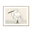 Snowy Egret - Kōno Bairei Kacho-e Art Print Posters Prints & Visual Artwork