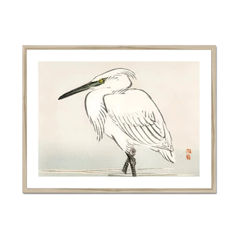 Snowy Egret - Kōno Bairei Kacho-e Art Print, White Heron Long Black Beak Legs