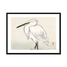 Snowy Egret - Kōno Bairei Kacho-e Art Print Posters Prints & Visual Artwork