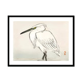 Snowy Egret - Kōno Bairei Kacho-e Art Print, White Heron Long Pointed Beak Traditional Japanese Ink