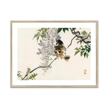 Sparrow on a Branch - Kōno Bairei Meiji Era Art Print, Bird Perched Branch Wisteria Blossoms
